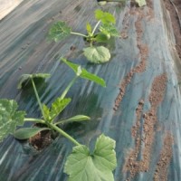 20140318　壯文状況